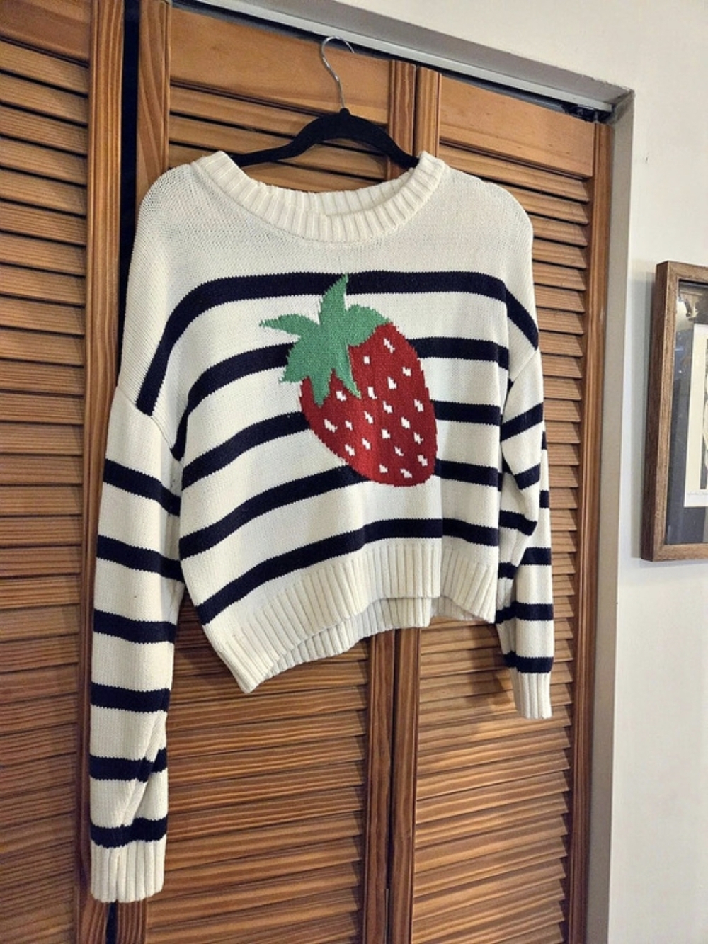 Freshman 1996 Striped Strawberry Sweater in White & Blue Size Large Like N